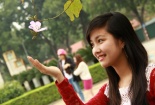 Hà Nội lung linh mùa hoa ban về